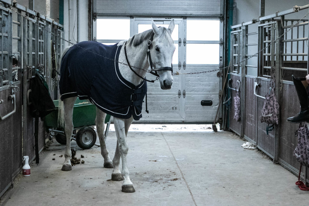Sønderborg Sportsrideklub © SønderborgNYT