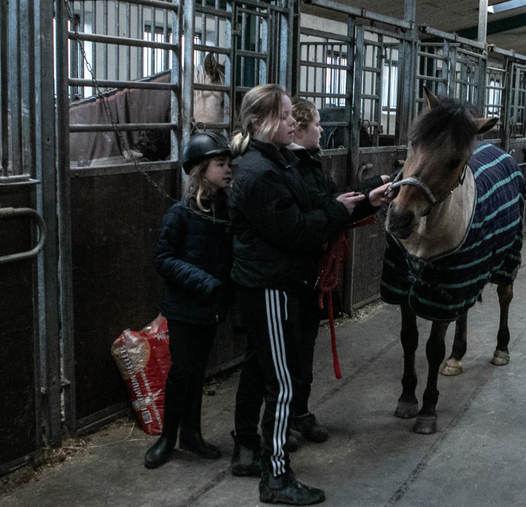 Sønderborg Sportsrideklub © SønderborgNYT