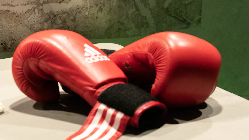 Fight Night © SønderborgNYT