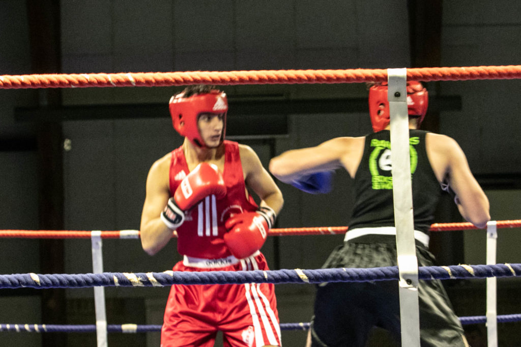 Fight Night © SønderborgNYT