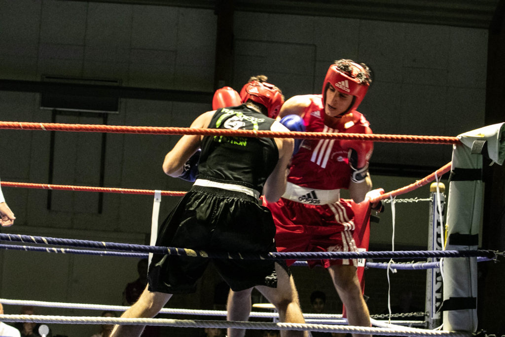 Fight Night © SønderborgNYT