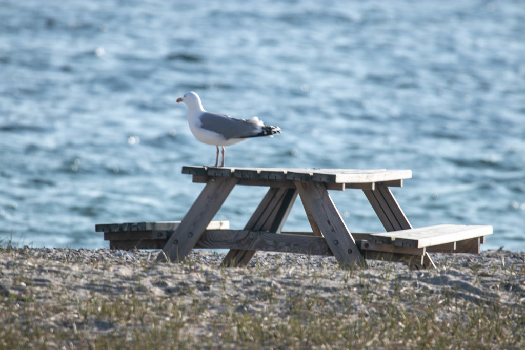 Søndagshygge © SønderborgNYT