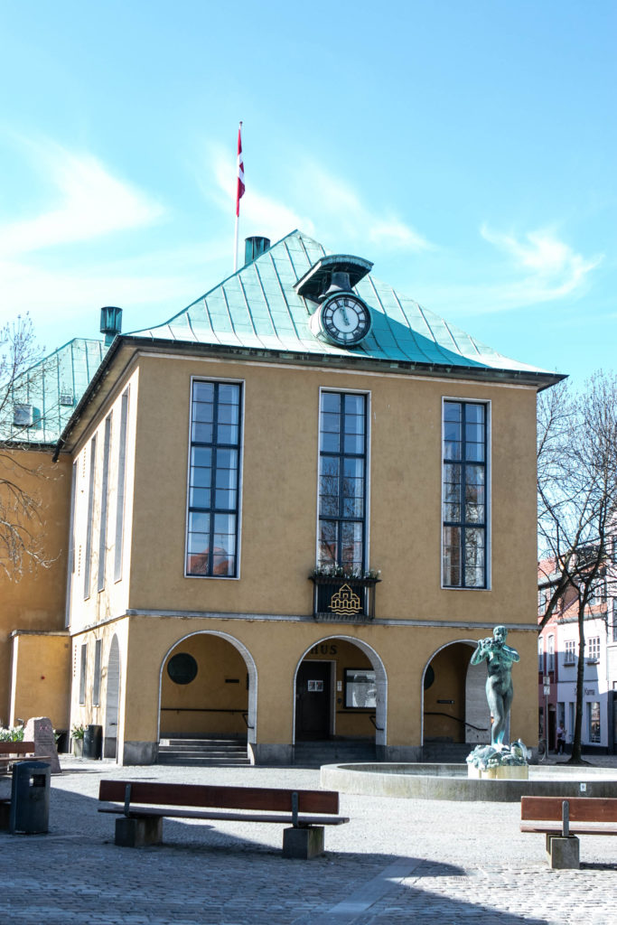 Dybbøldagen © SønderborgNYT