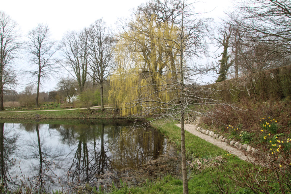 Forår – Foto: Jørn Thrane