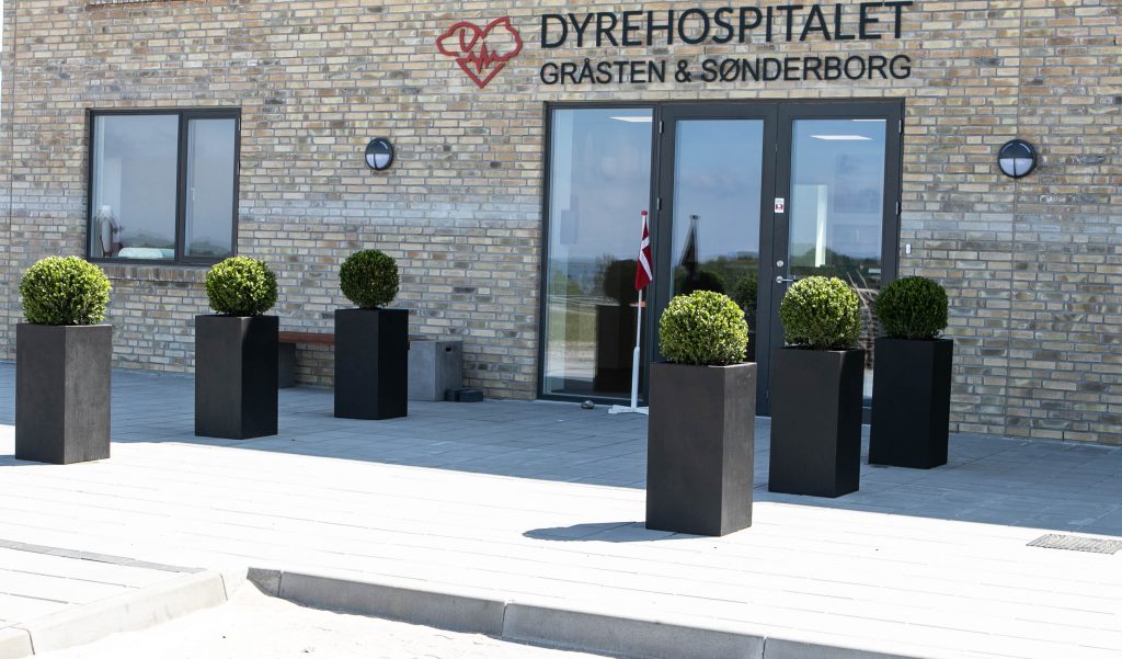 Dyrenes supersygehus © SønderborgNYT