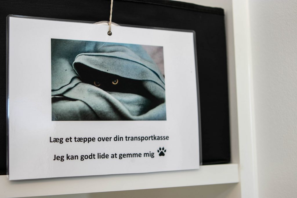 Dyrenes supersygehus © SønderborgNYT
