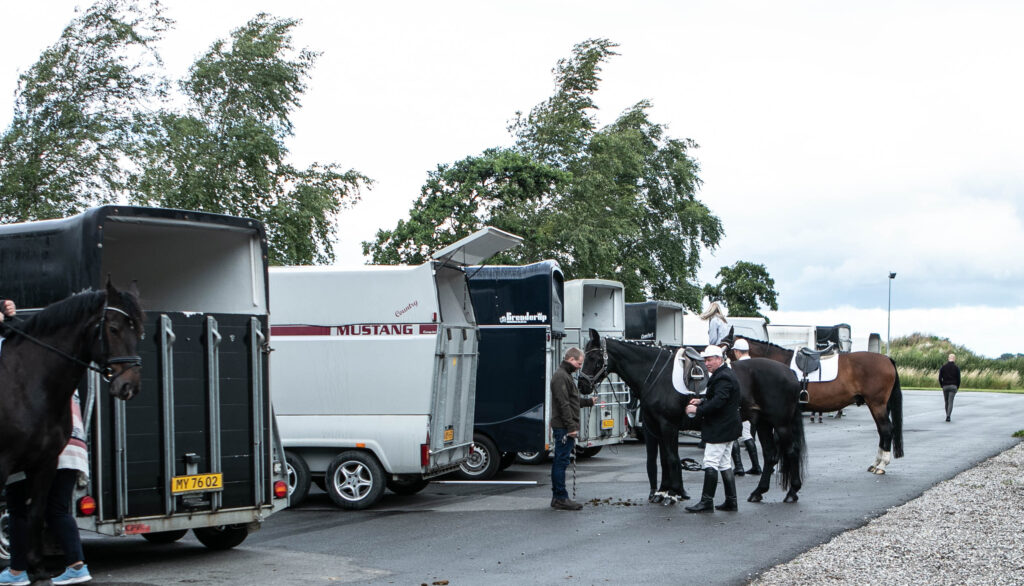 Ringridning © SønderborgNYT
