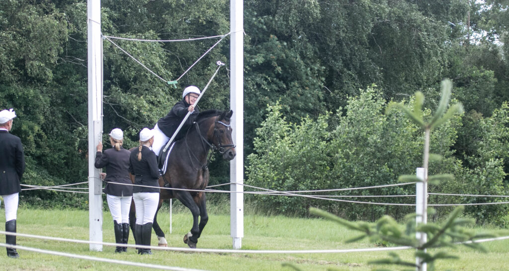 Ringridning © SønderborgNYT