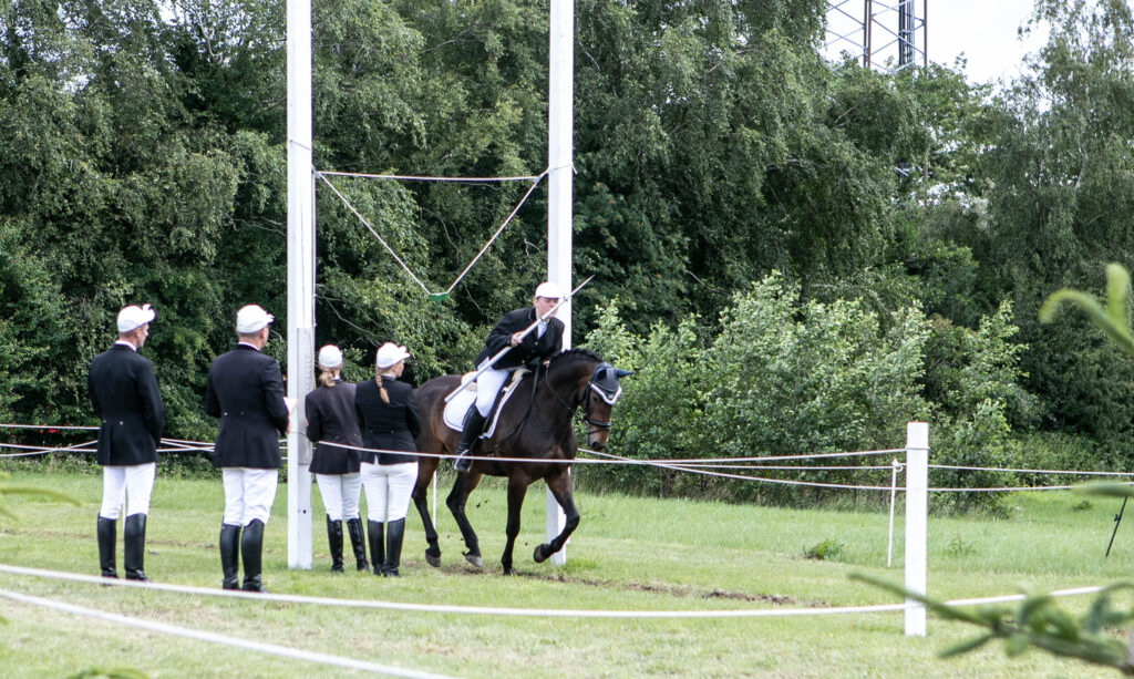 Ringridning © SønderborgNYT