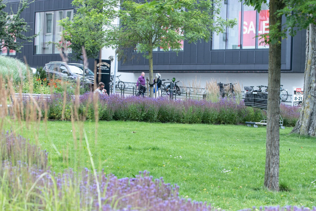 Søndag i det fri © SønderborgNYT