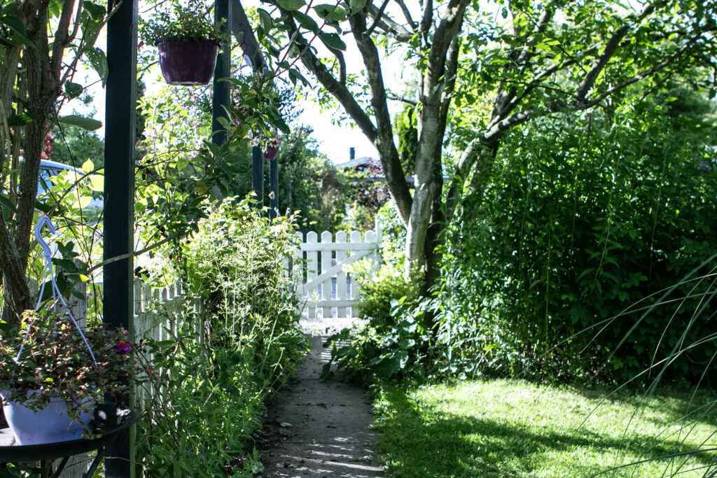 Skovly-have © SønderborgNYT