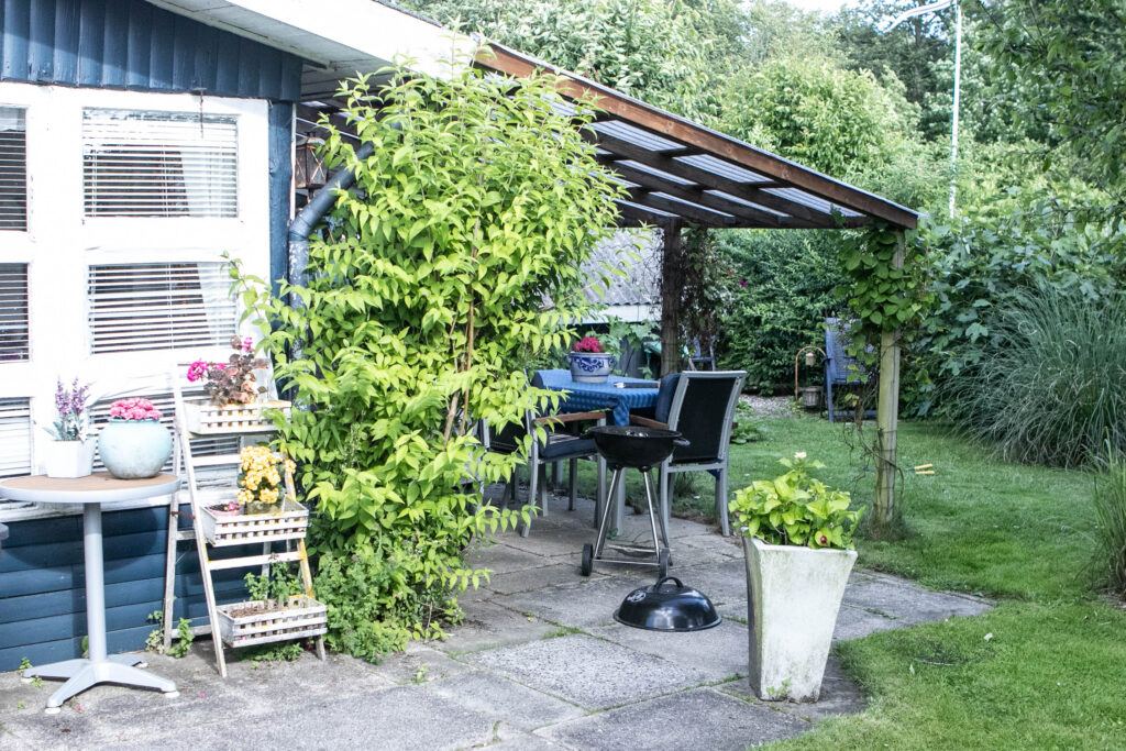 Skovly-have © SønderborgNYT