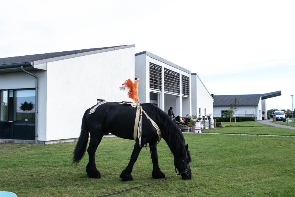 Cirkus © SønderborgNYT