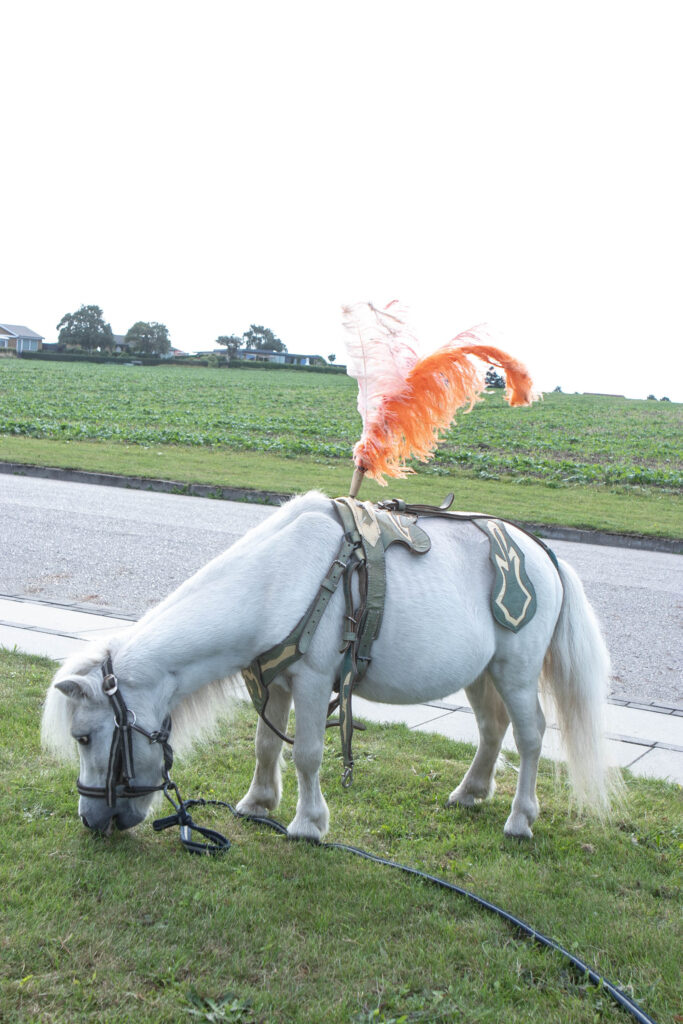Cirkus © SønderborgNYT