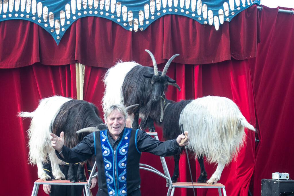 Cirkus © SønderborgNYT