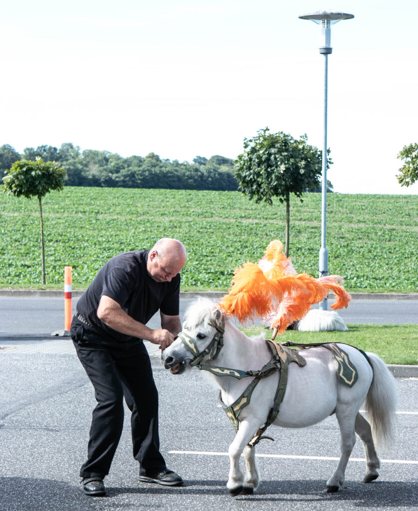 Cirkus © SønderborgNYT