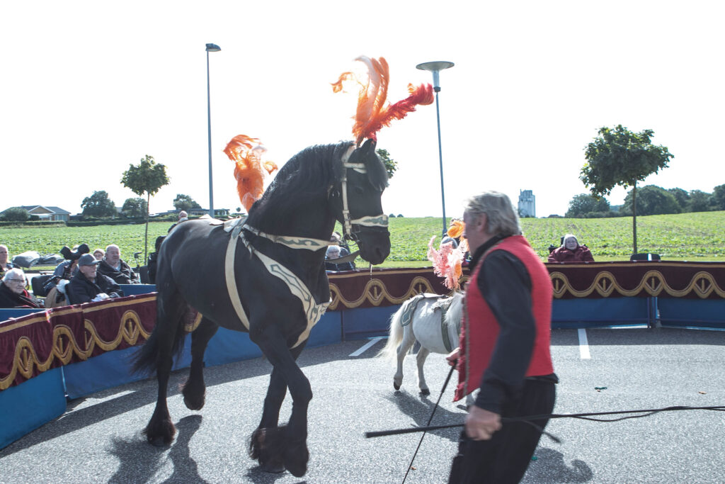Cirkus © SønderborgNYT