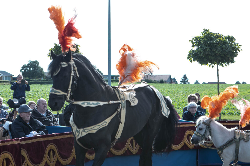 Cirkus © SønderborgNYT