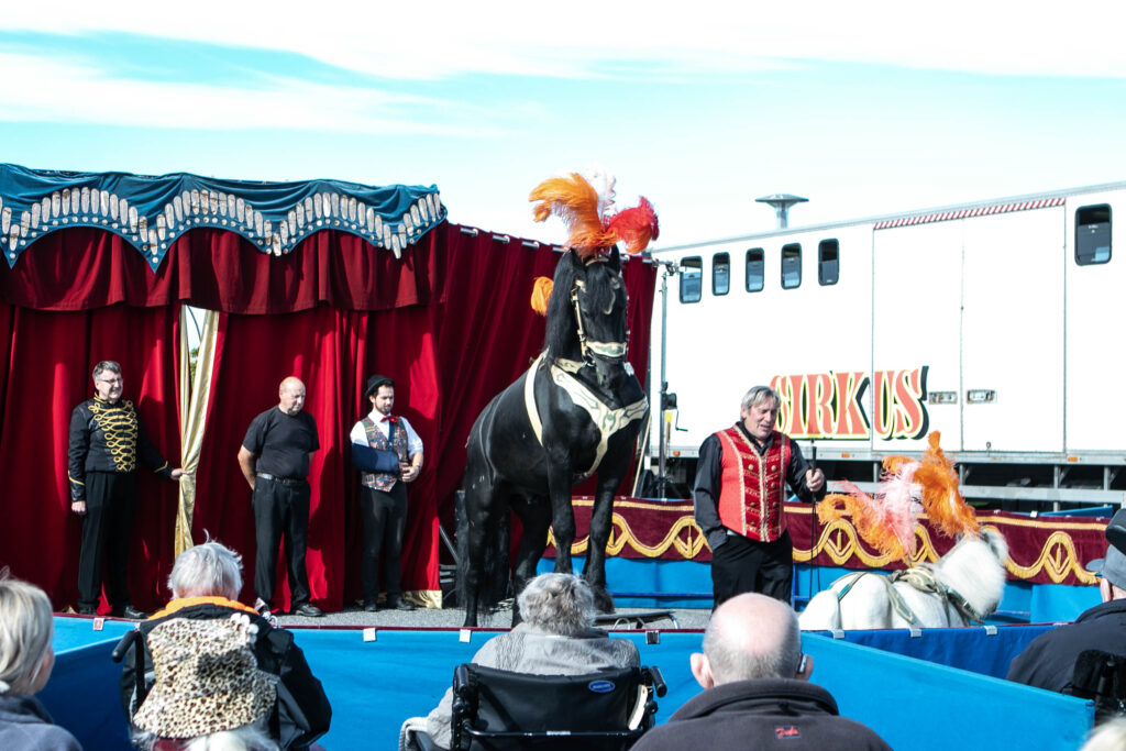 Cirkus © SønderborgNYT