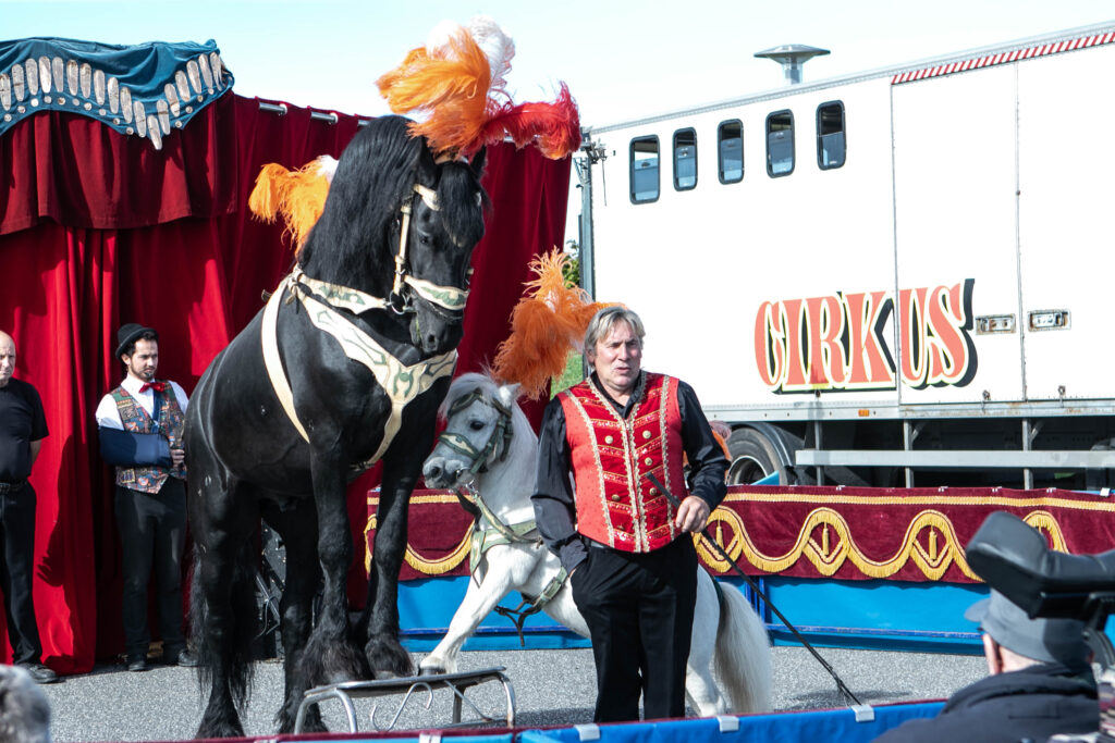 Cirkus © SønderborgNYT