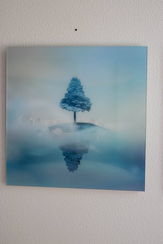 Augustenborg Project © SønderborgNYT