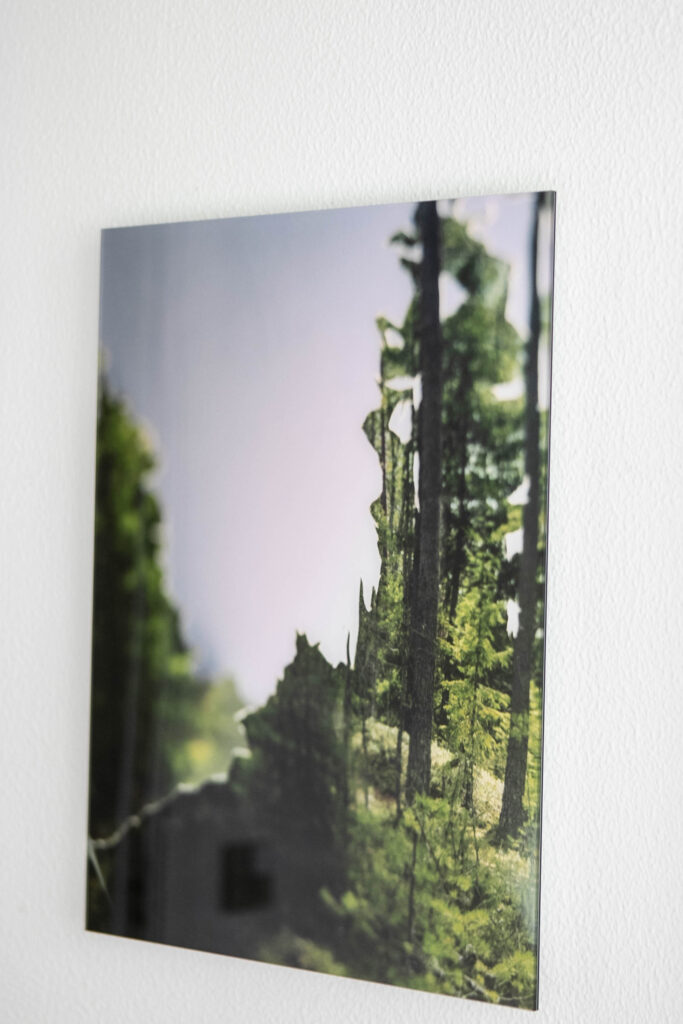 Augustenborg Project © SønderborgNYT