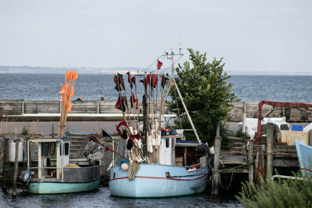 Mommark Marina © SønderborgNYT