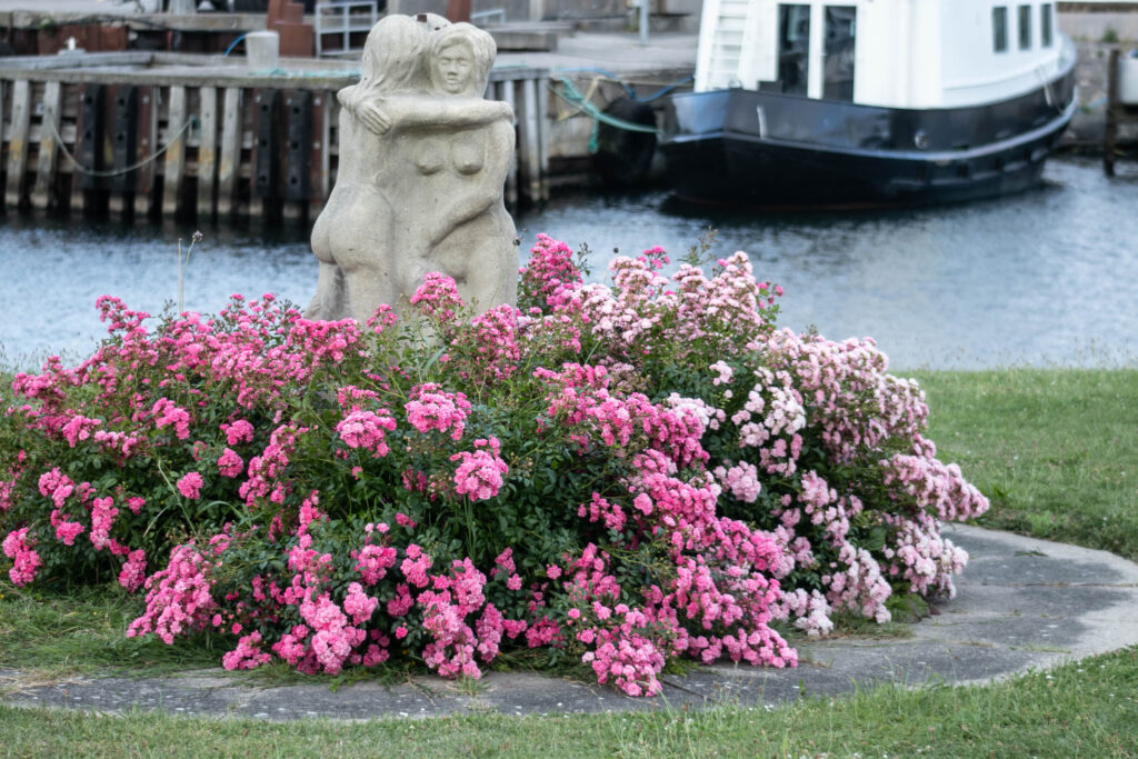 Mommark Marina © SønderborgNYT