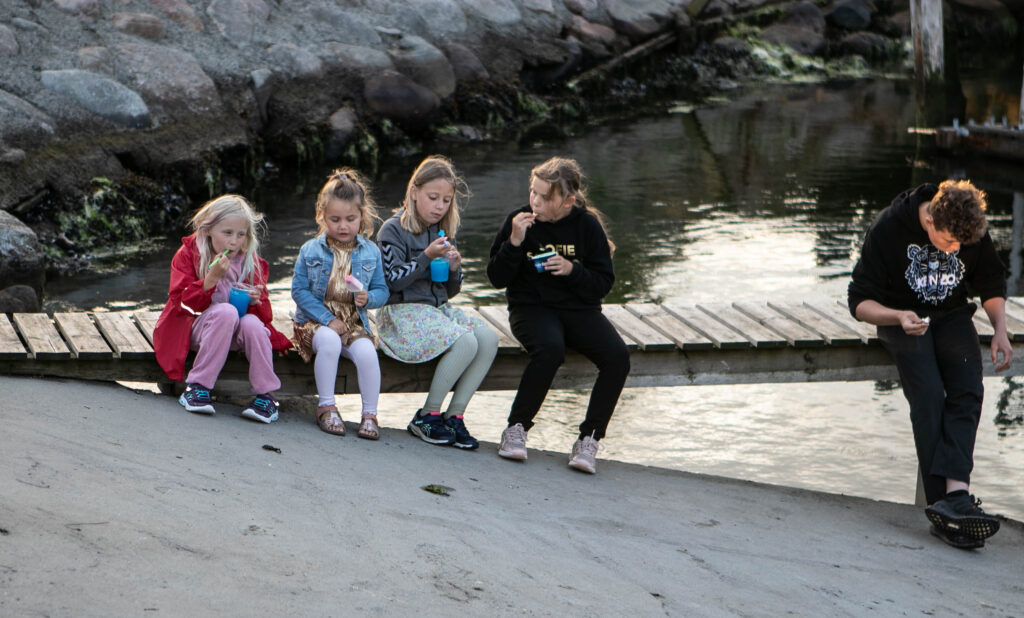 Havnefest i Mommark © SønderborgNYT