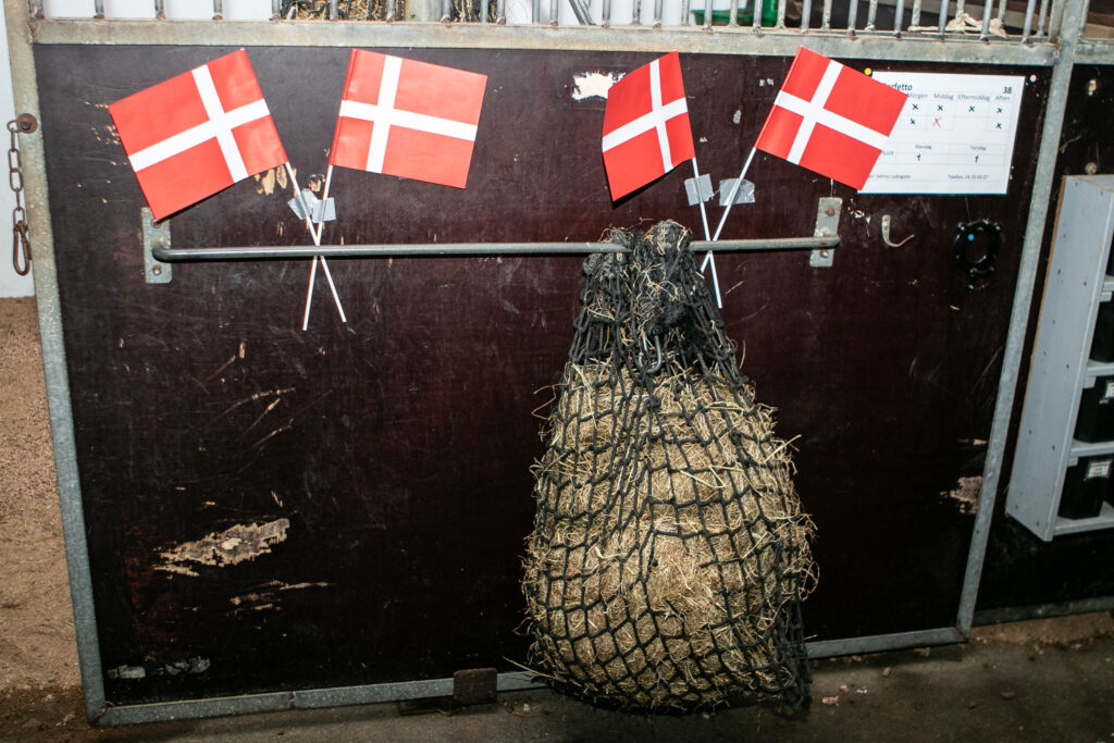 EM-sølv © SønderborgNYT