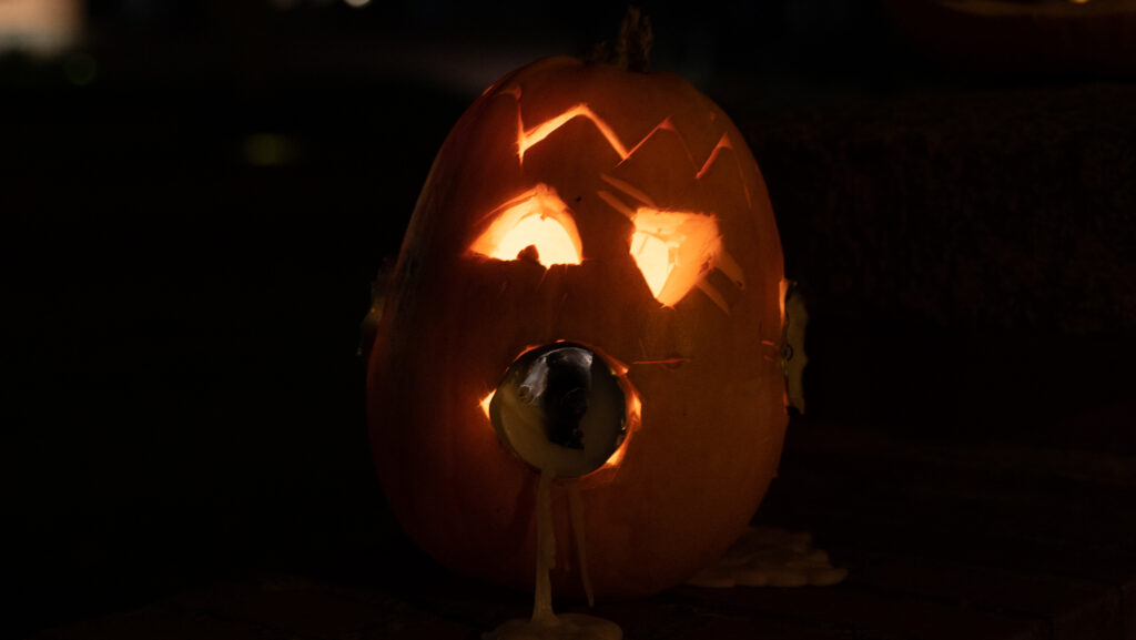 Halloween © Bachs Foto