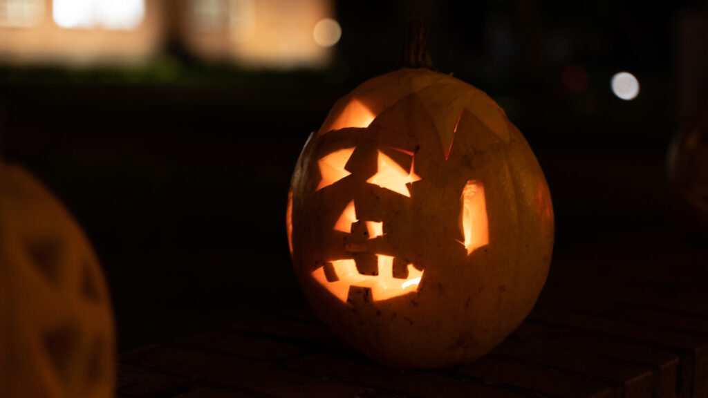 Halloween © Bachs Foto