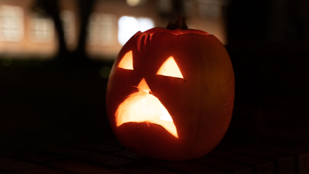 Halloween © Bachs Foto
