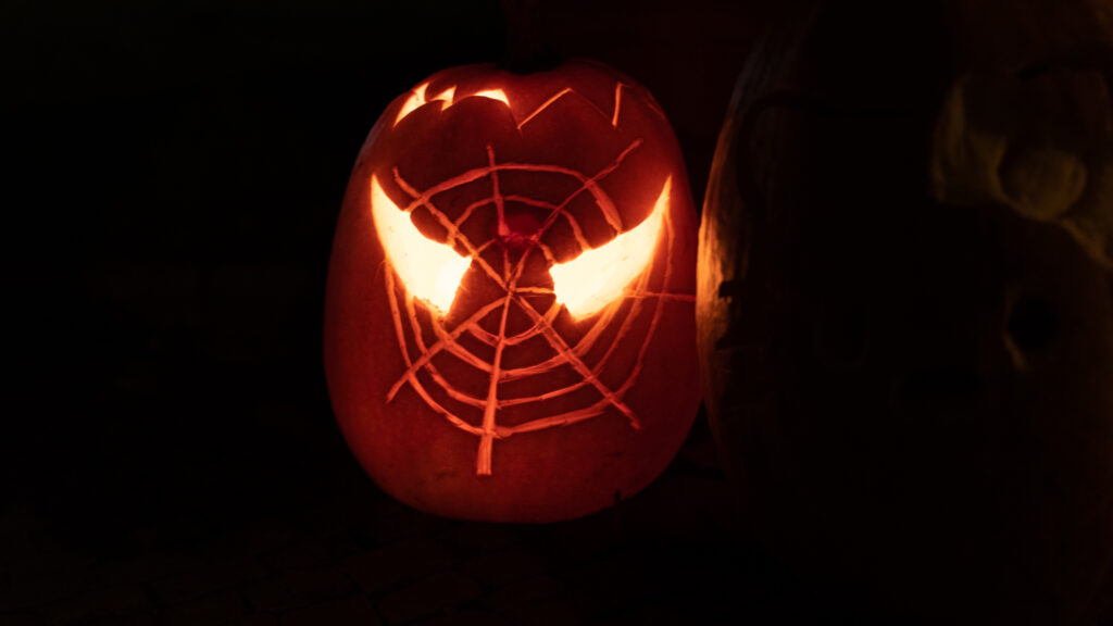 Halloween © Bachs Foto