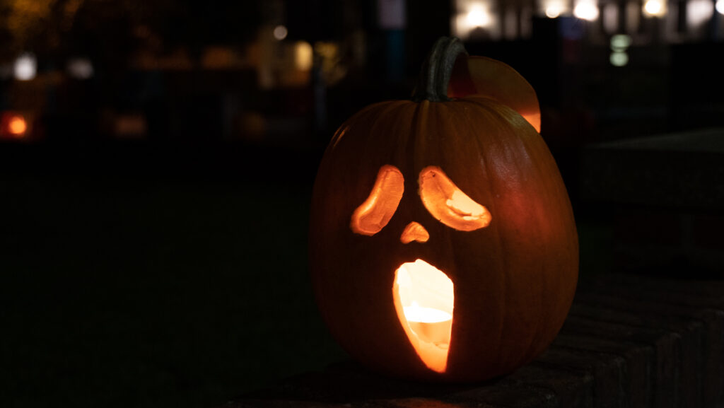 Halloween © Bachs Foto