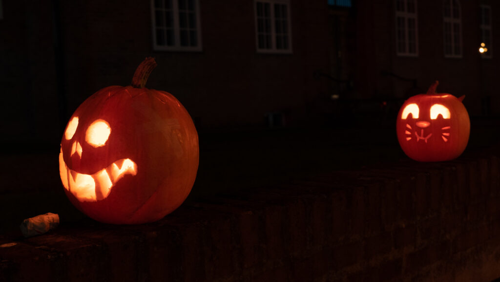 Halloween © Bachs Foto