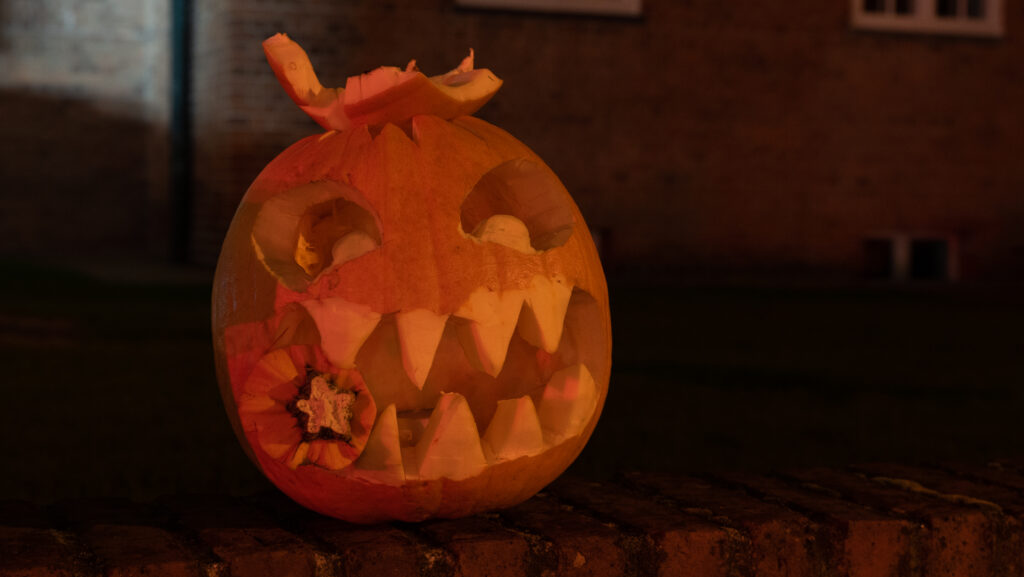 Halloween © Bachs Foto