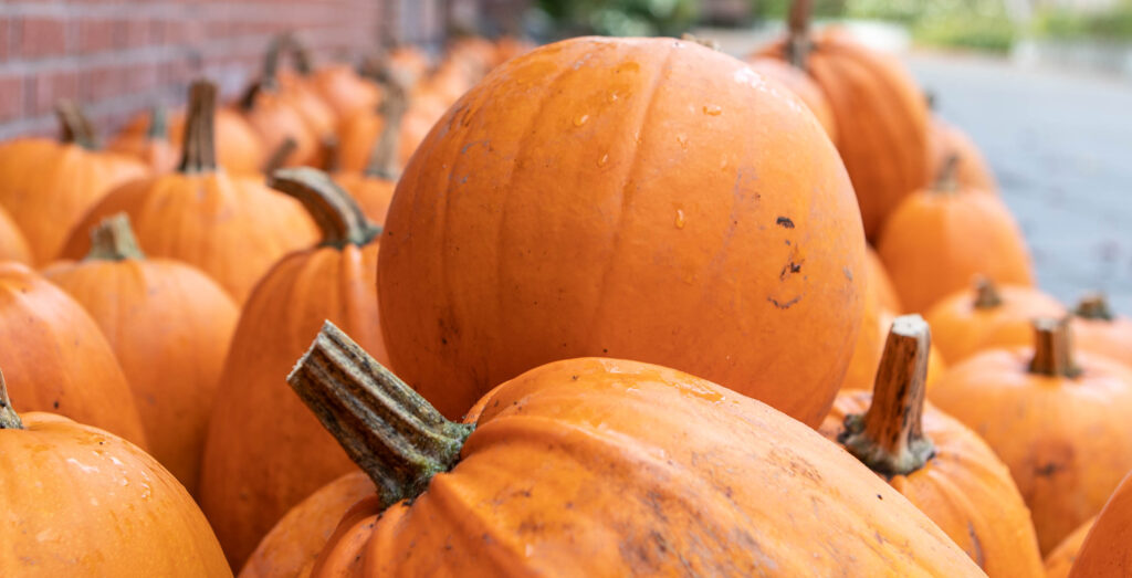 Halloween © SønderborgNYT