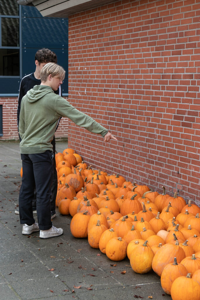 Halloween © SønderborgNYT