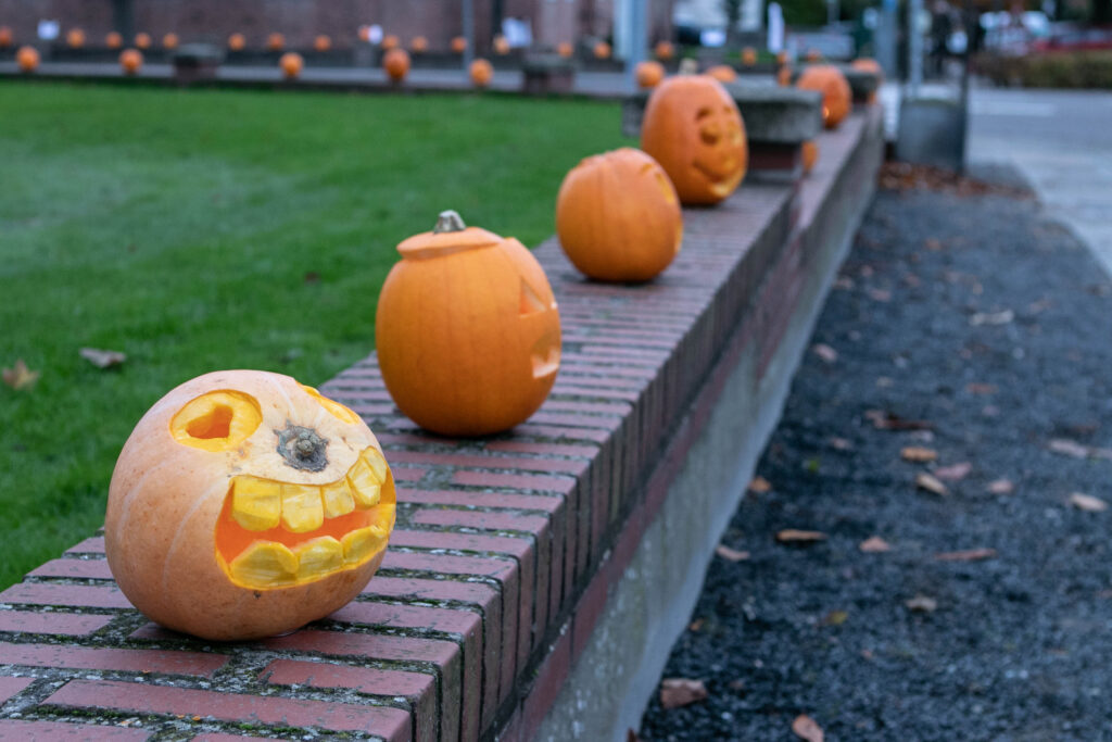 Halloween © SønderborgNYT