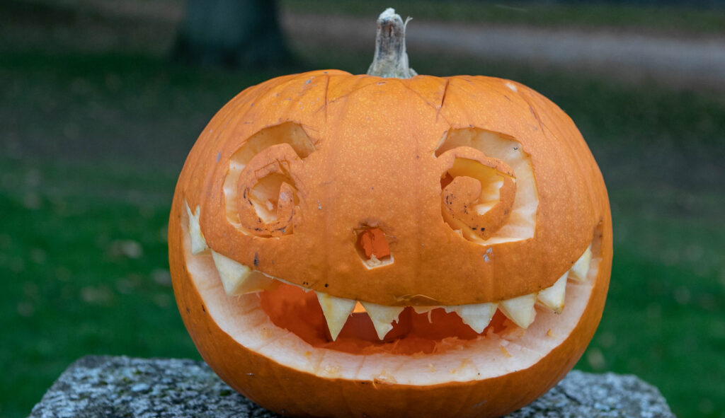 Halloween © SønderborgNYT