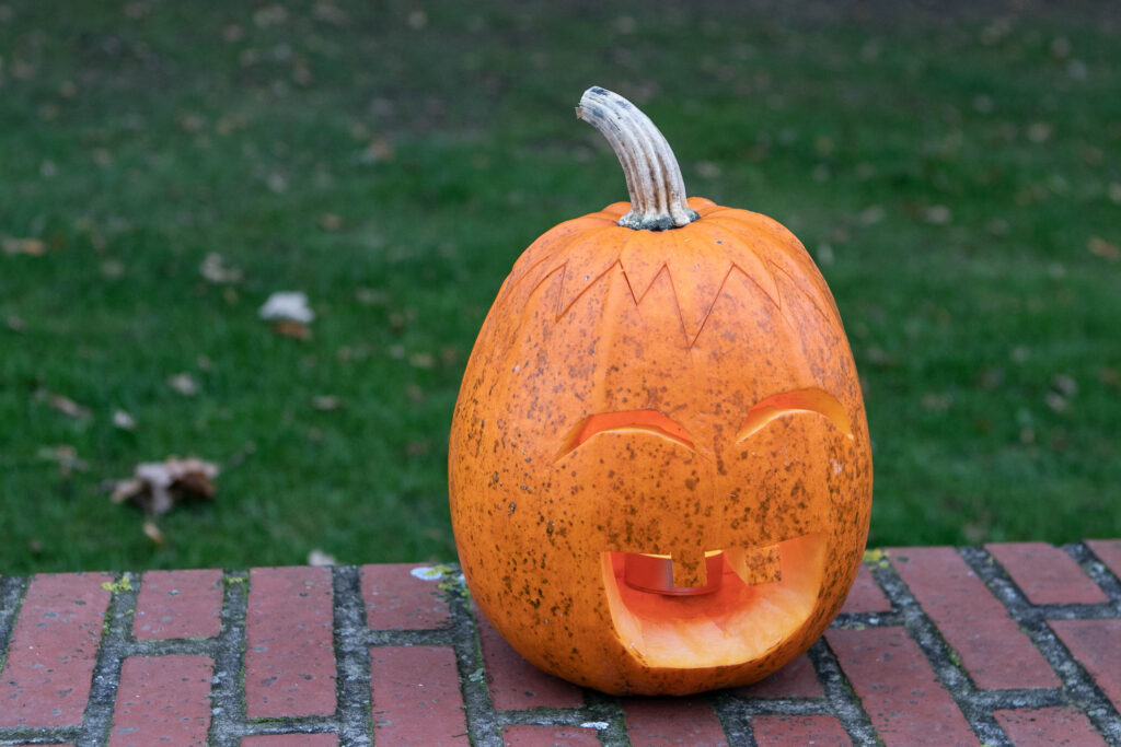 Halloween © SønderborgNYT