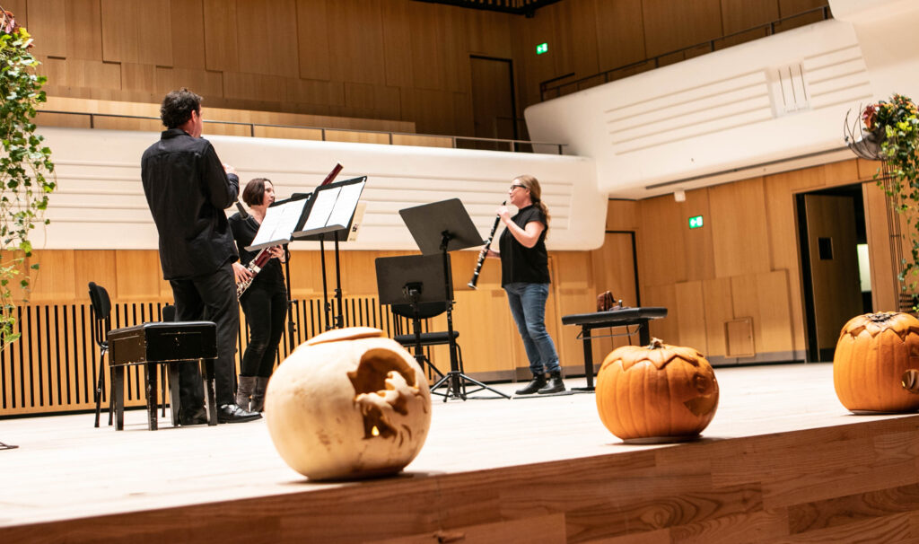 Promusica © SønderborgNYT