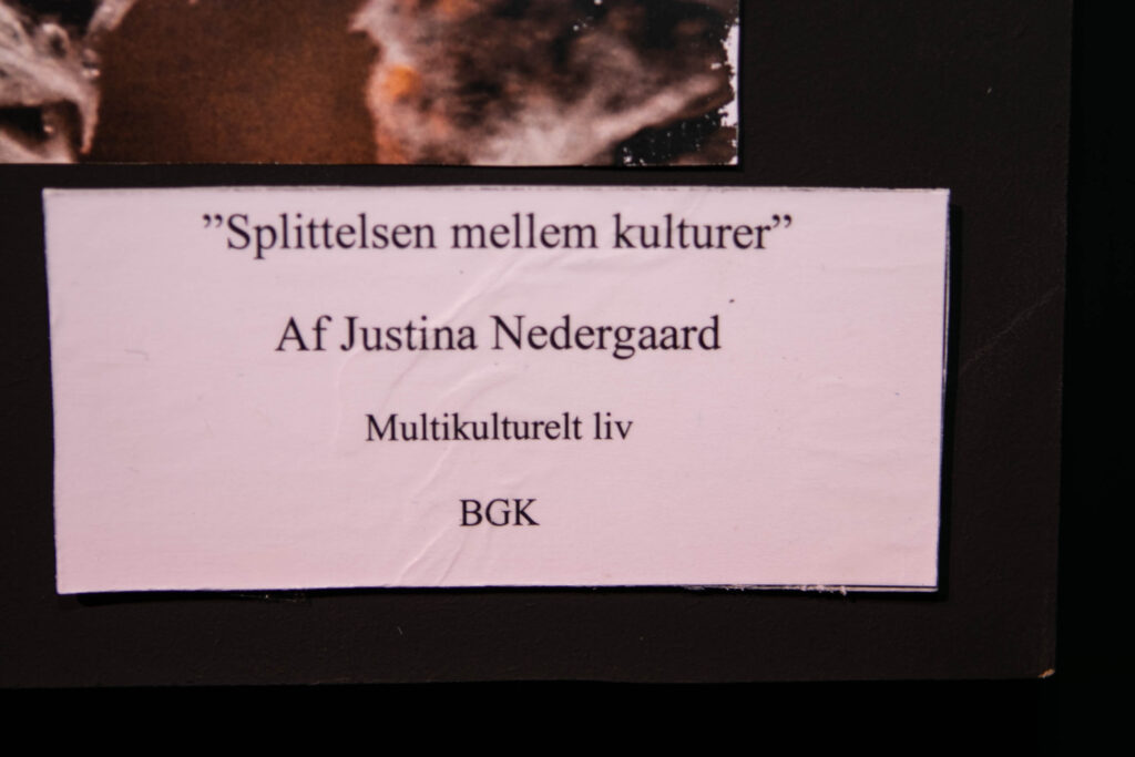 Kunstnerspirer © SønderborgNYT