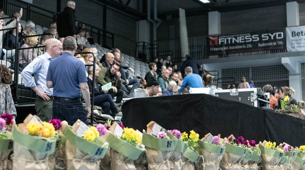 Forårsopvisning © SønderborgNYT