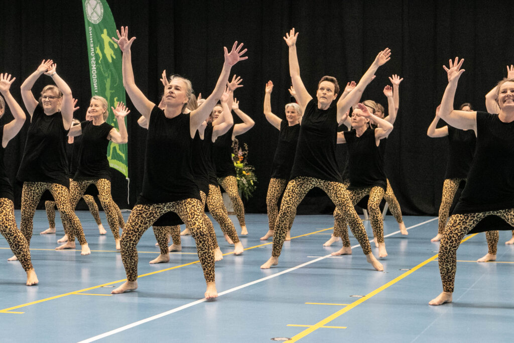 Forårsopvisning © SønderborgNYT