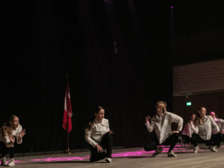Forårsopvisning © SønderborgNYT