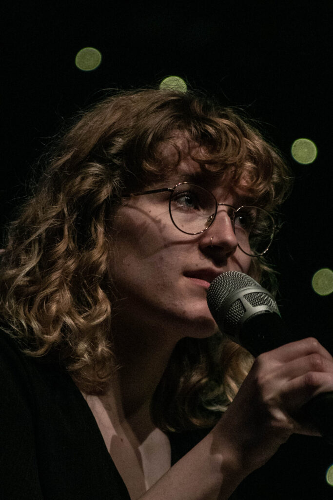 folkBaltica © SønderborgNYT