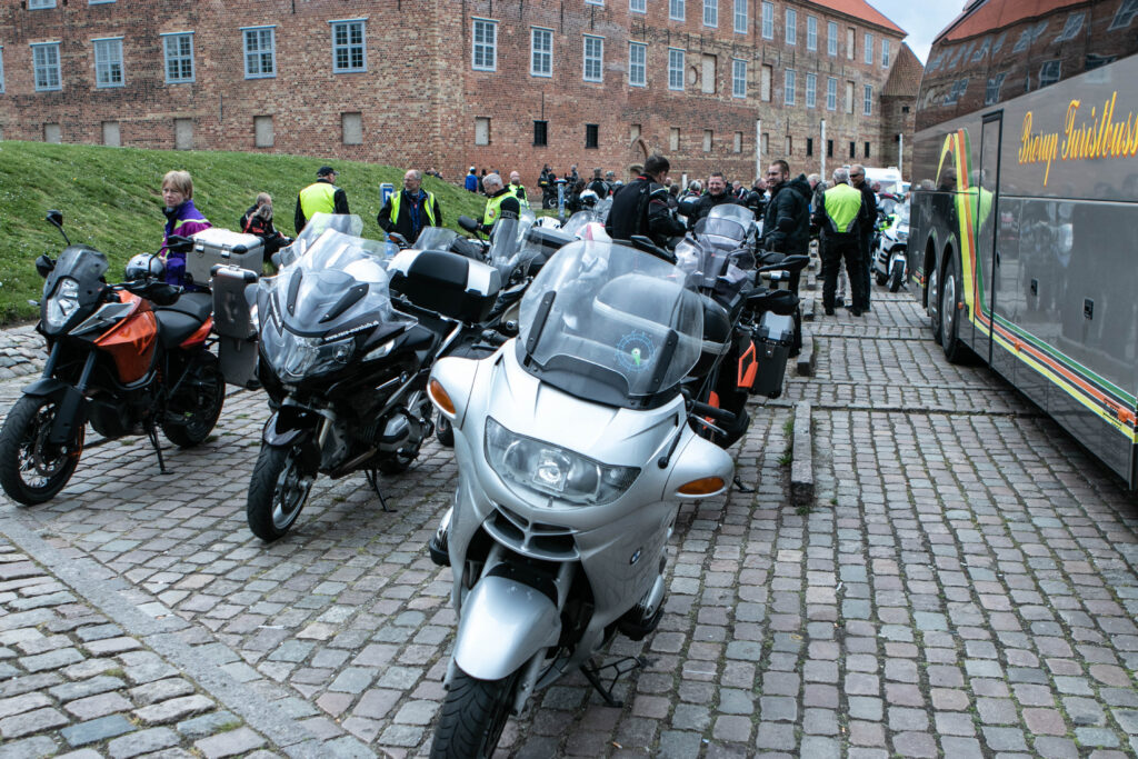 Grøn målby. Foto: Ole Kæhler
