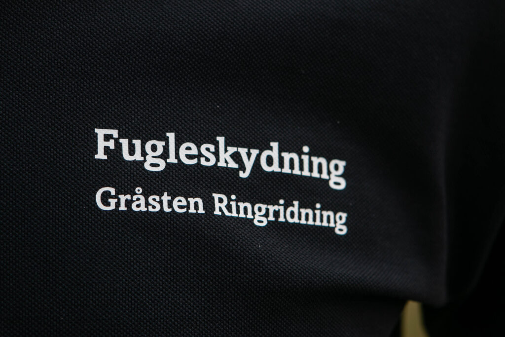Gråsten Ringridning. Foto: Ole Kæhler